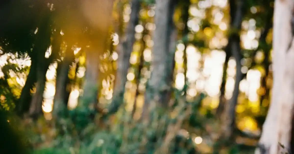 İkea Temizlik Eldivenleri: Dayanıklı ve Kullanışlı Temizlik Ürünleri Rehberi