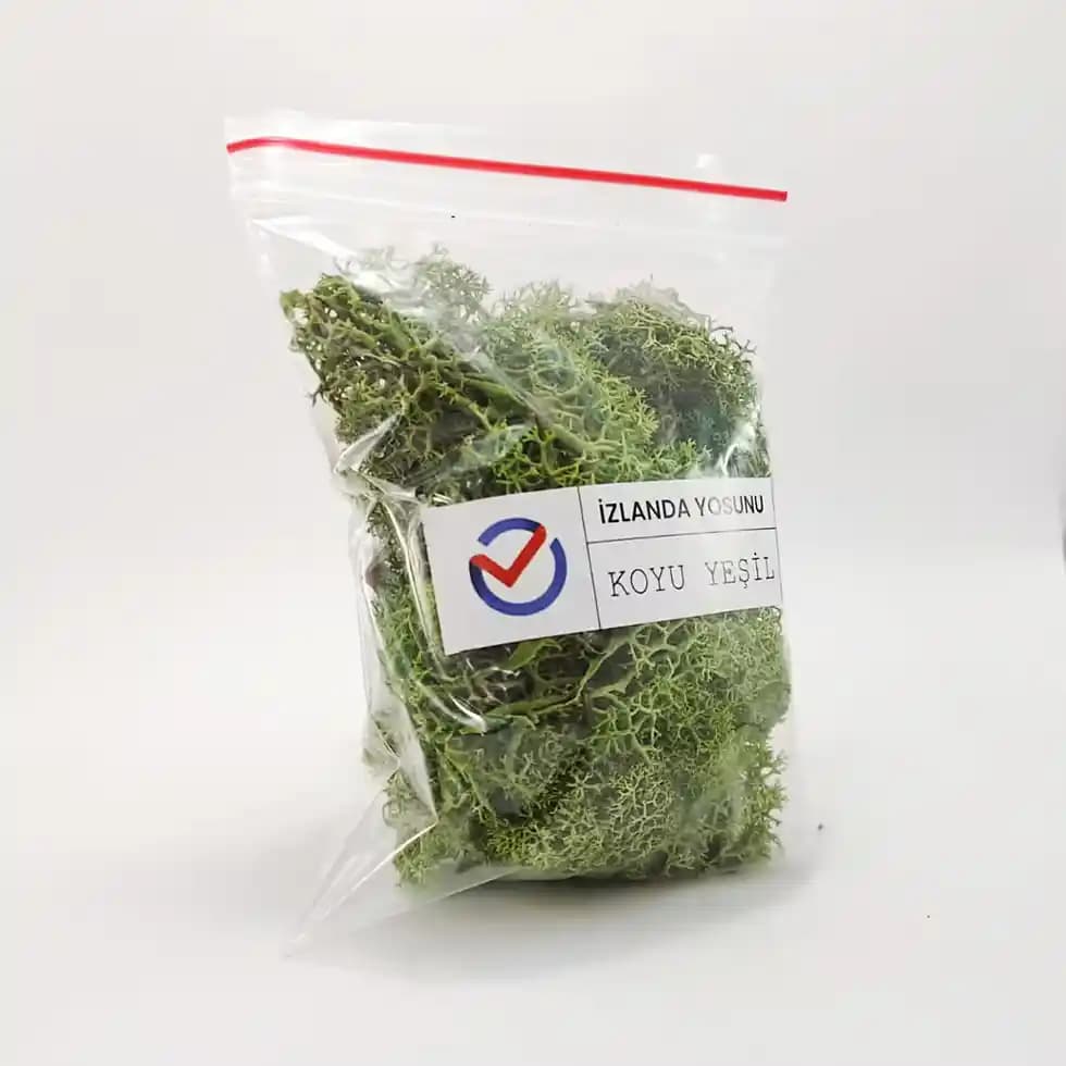 İzlanda Yosunu: Sağlık ve Güzellik İçin Doğal Bir Kaynak ve Faydaları