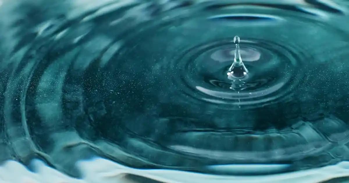 Kafkas Kefir Mayası ile Doğal Fermentasyon ve Sağlıklı Kefir Üretimi Rehberi