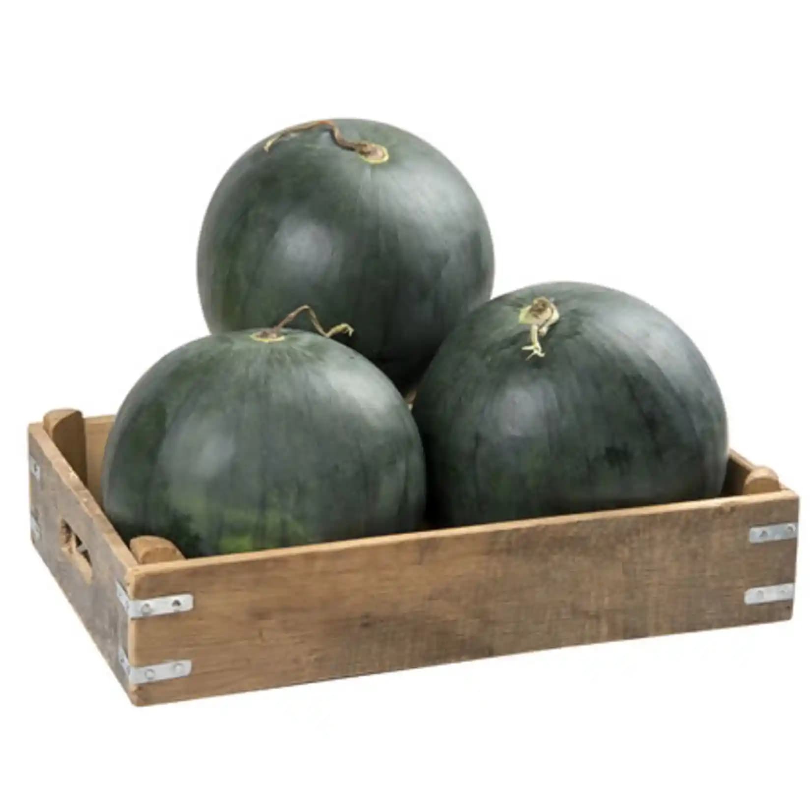 Karpuz Kilosu ve Marketlerdeki Durumu: Fiyatlar ve Kalite Analizi