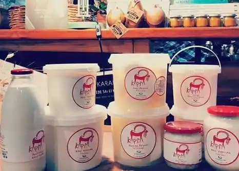 Keçi Sütü Ürünleri: Sağlıklı ve Doğal Alternatifler ile Lezzetli Kullanım İmkanları