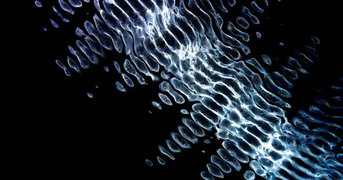 Kedi Korkuluğu Nedir ve Evde Güvenliği Sağlamak İçin Nasıl Kullanılır