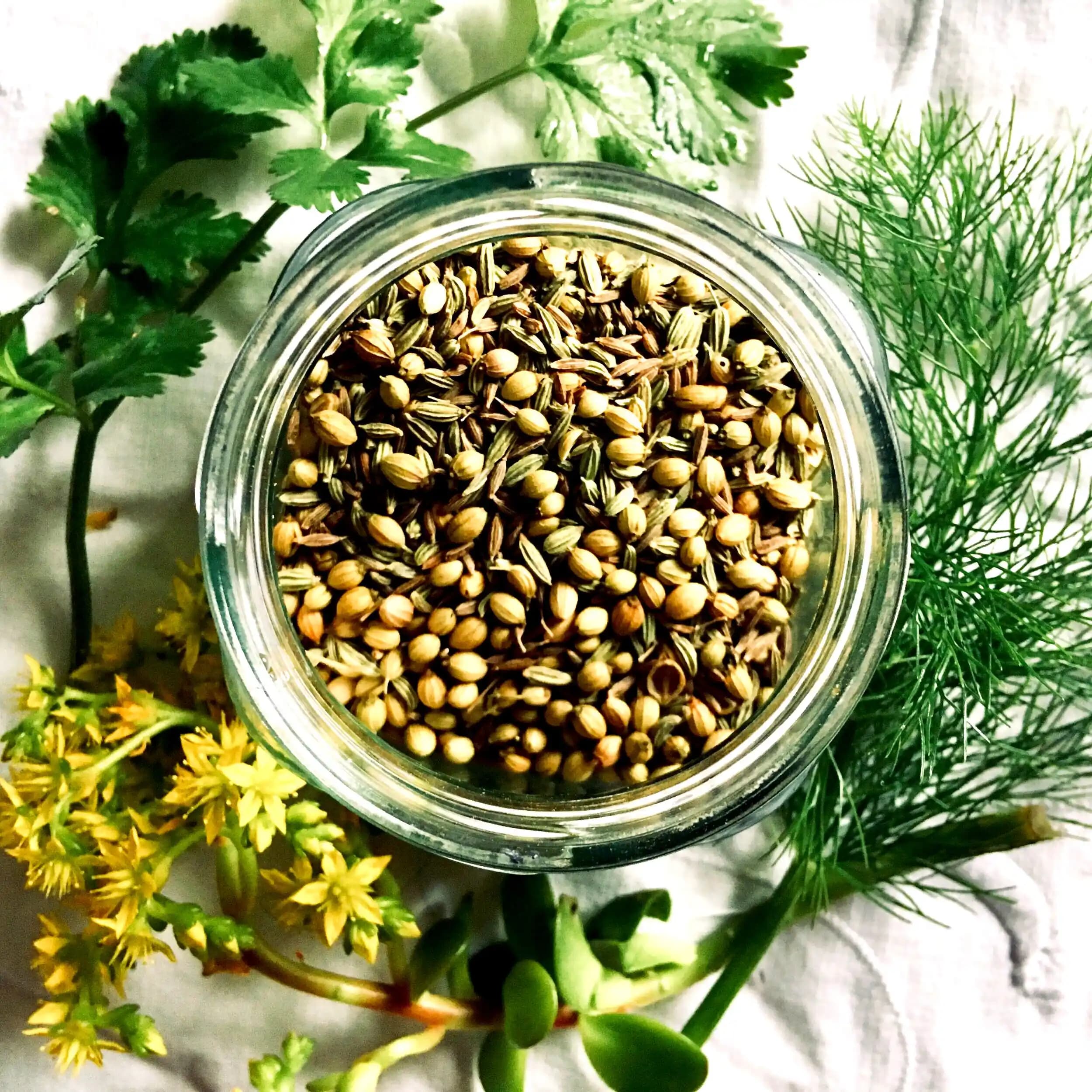 Kimyon ve Rezene Çaylarının Sağlık Faydaları ve Kullanım Alanları Üzerine Detaylı Bir İnceleme