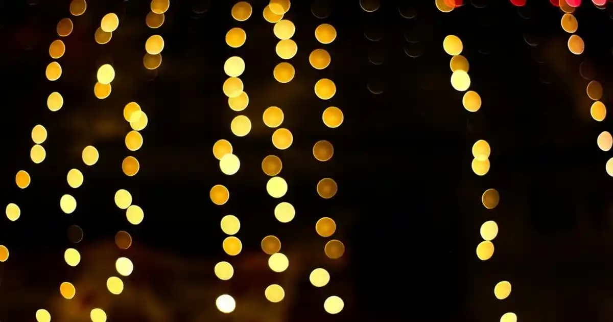 Kızıl Dal Darı 1 Kg: Sağlıklı ve Doğal Tahıl Seçeneği