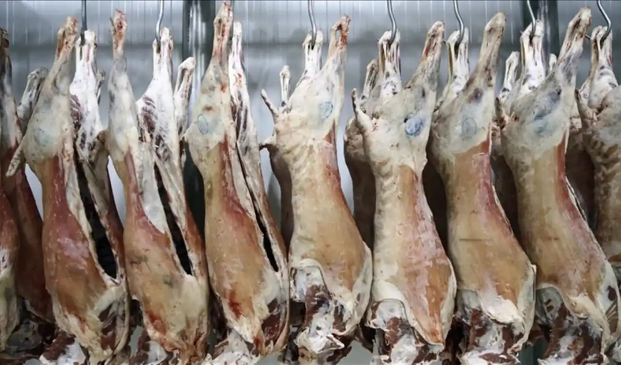 Konya Karkas Et Fiyatlarındaki Güncel Durum ve Piyasa Dinamikleri Analizi