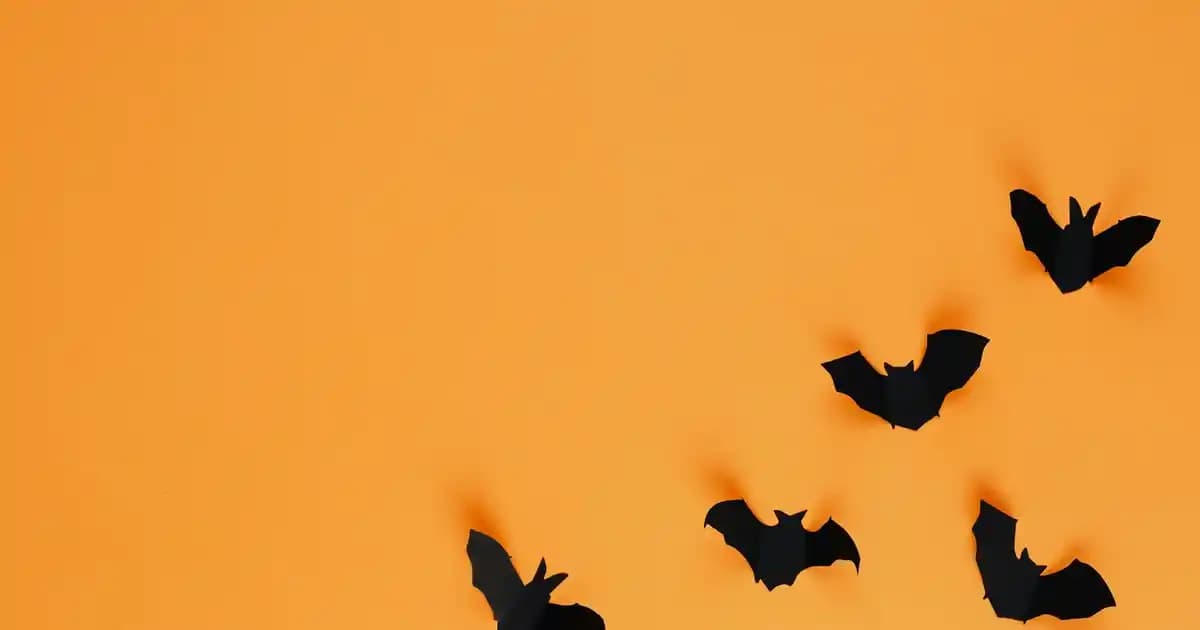 Koşu Bandı Bakımında Yağ Kullanımı ve Uzun Ömür İçin En İyi Uygulamalar