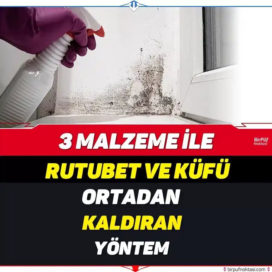 Kufe ve Rutubet Temizleme Spreyleri: Sağlıklı ve Hijyenik Alanlar İçin Kullanım Rehberi