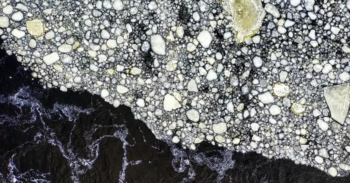 Kulak ve Sinir Sistemi: İşitme ve Denge Mekanizmalarının Anatomik ve Fonksiyonel İncelenmesi