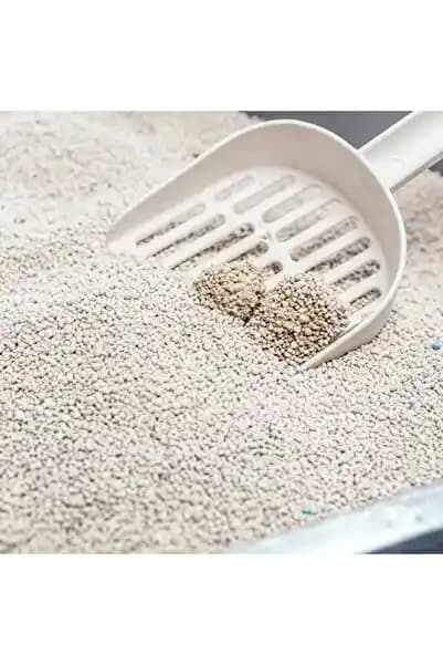 Kuzey Pazarlama Kedi Kumu Özellikleri ve Kullanım Alanları Hakkında Detaylı Bilgi