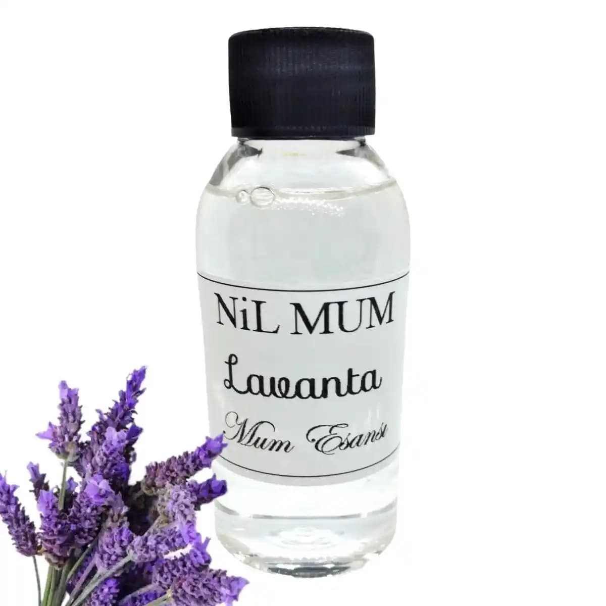 Lavanta Esansı ile Doğal Mum Yapımı ve Kullanım Alanları Hakkında Bilgi