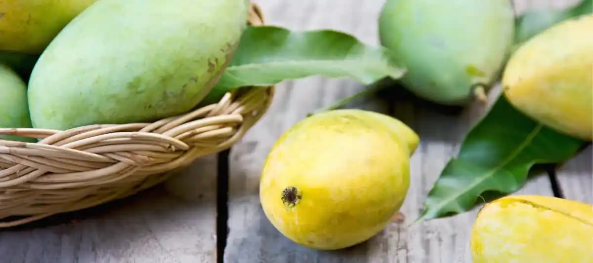 Mango Meyvesinin Sağlık Faydaları ve Günlük Tüketim İpuçları