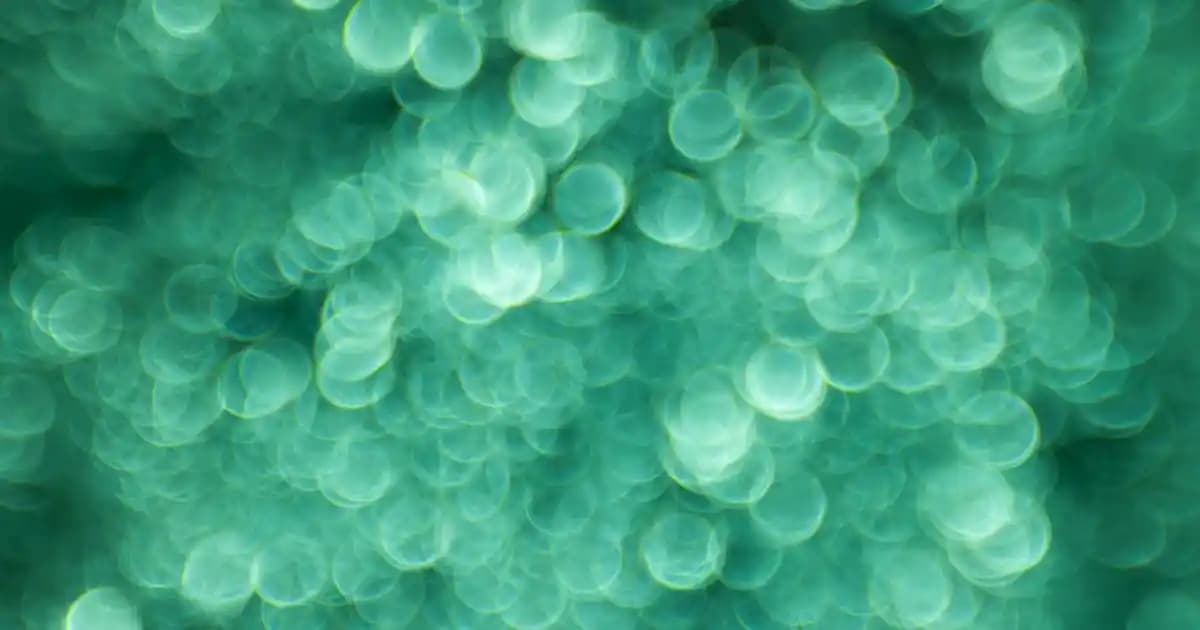 Marketlerde Bulunan Acılı Citos: Baharatlı Sos Seçenekleri ve Kullanım İpuçları