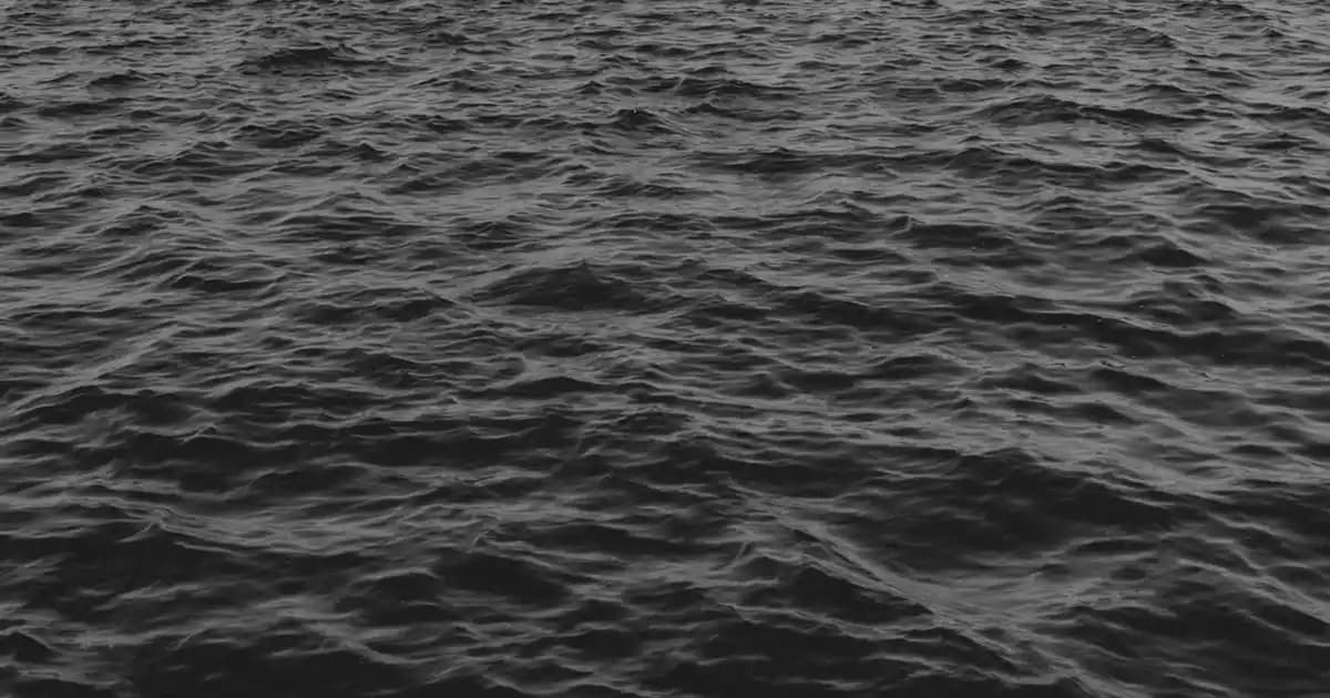 Mayonezli Cips Sosu: Tarifler, Kullanım İpuçları ve Farklı Marka Seçenekleri