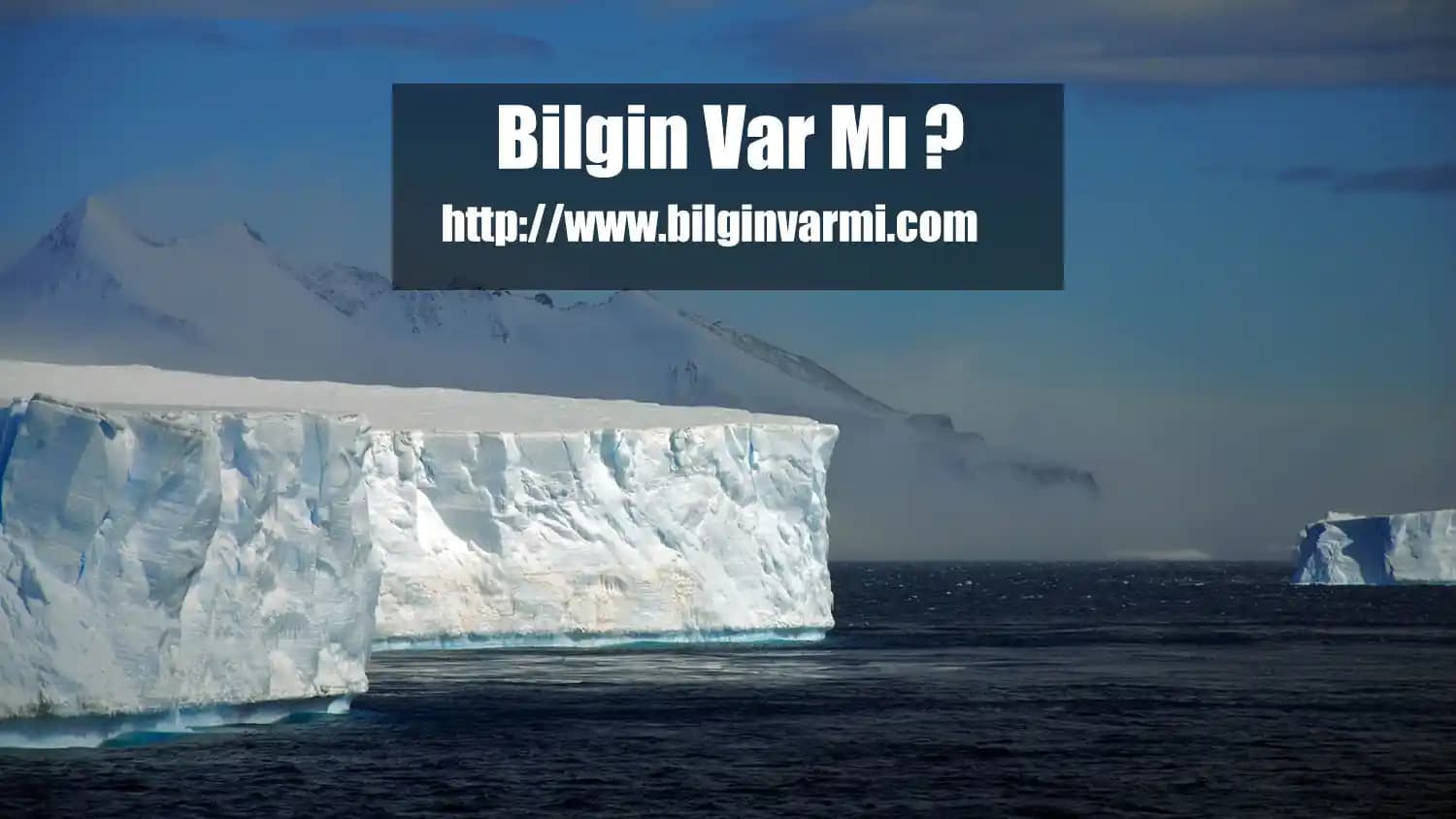 Migros'ta Buz Bulunup Bulunmadığı ve Ürün Çeşitleri Hakkında Detaylı Bilgi