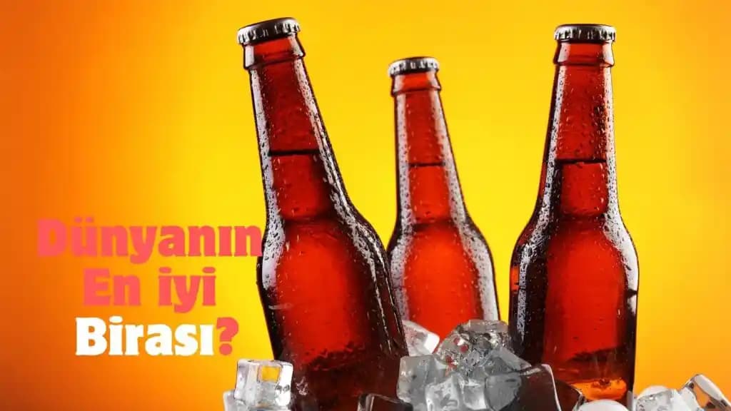 Migros'ta En İyi Bira Seçimi İçin Kapsamlı Rehber ve Öneriler