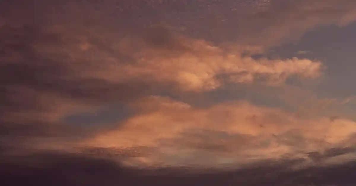 Migros'ta Jel Gıda Boyası: Renkli ve Güvenilir Tatlı Dekorasyon Ürünleri