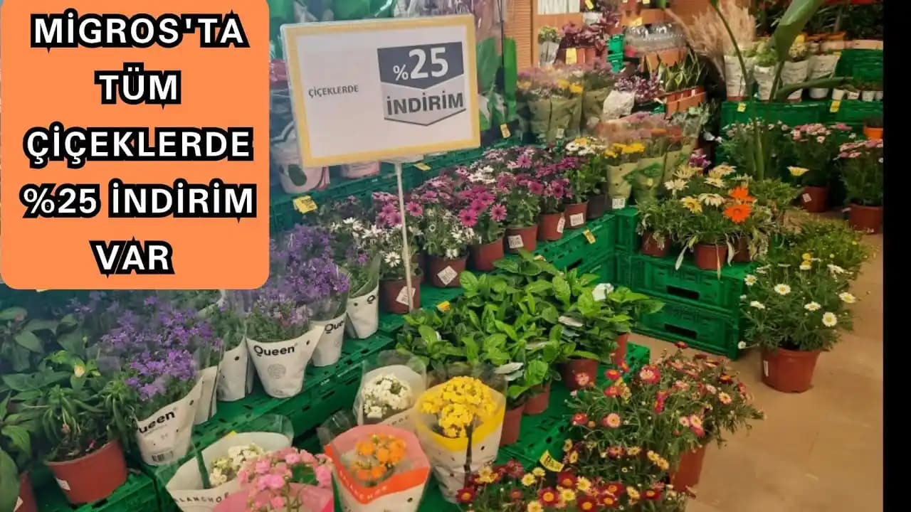 Migros'ta Nori Bulunuyor mu Güncel Durum ve Alternatif Satış Noktaları