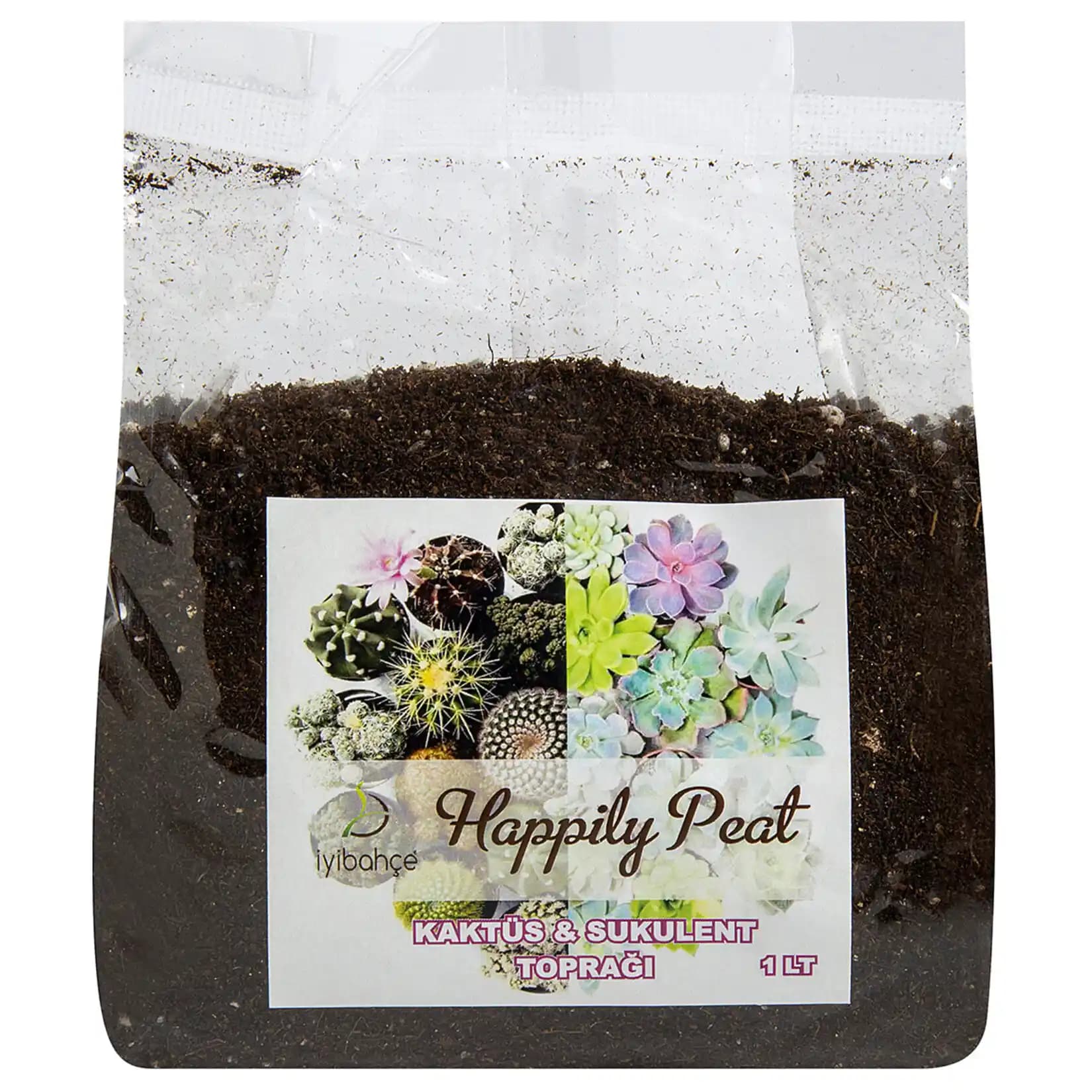 Migros'ta Sukulent Toprağı: Doğru Bakım İçin Temel Bilgiler ve Seçim Rehberi