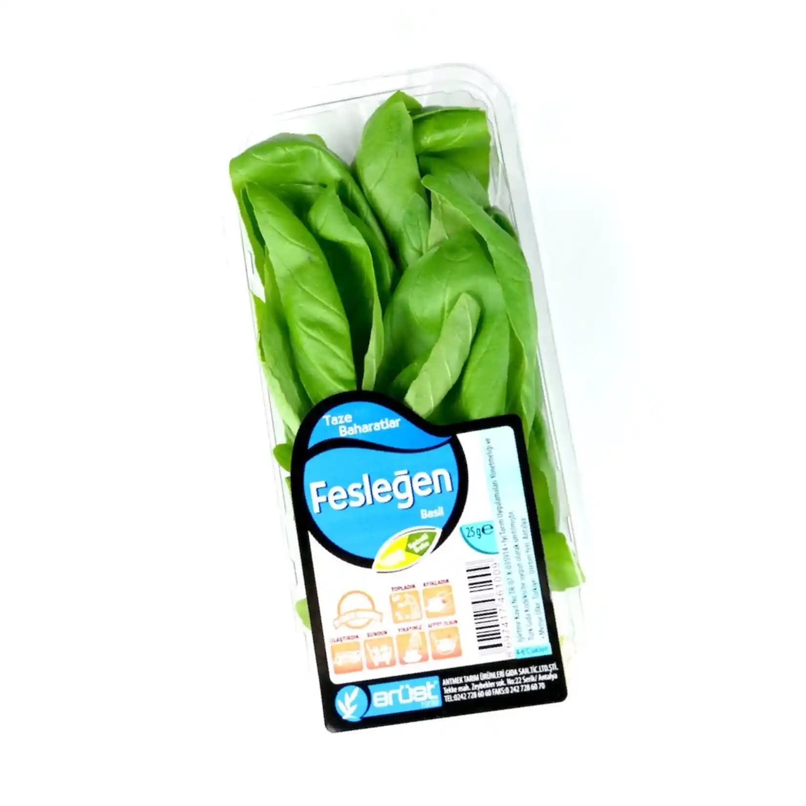 Migros'ta Taze Fesleğen Satın Alma ve Kullanım İpuçları