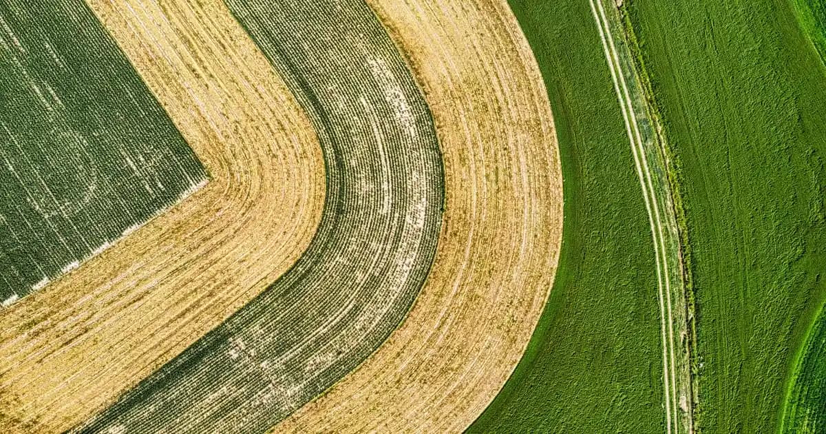 Miraderm Okaliptus Burun Spreyi: Doğal İçeriklerle Burun Rahatlatıcı Çözüm