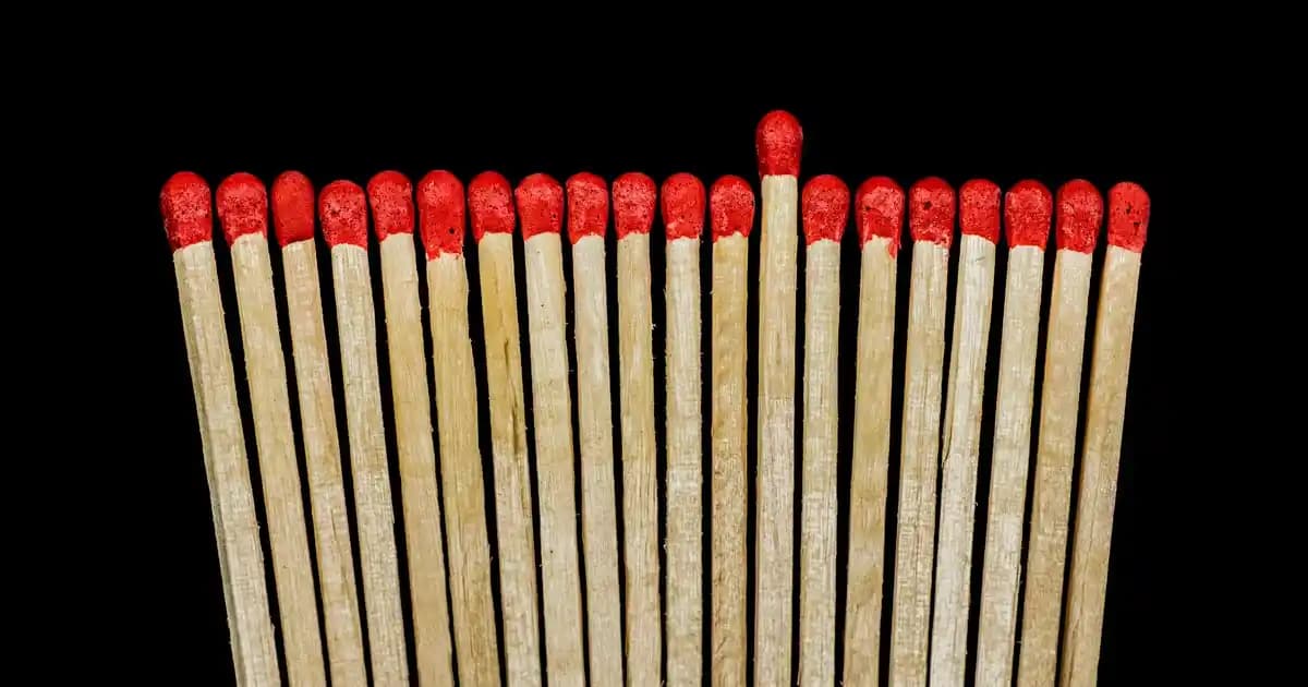 Multimen Lifecell ile Sindirim Sağlığını Destekleyen Güvenilir Lif Takviyesi