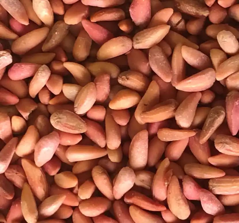 Nar Çekirdeği ve Yağının Sağlık ve Kozmetikte Kullanım Alanları Analizi