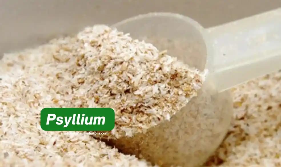 Psilyum Nedir Günlük Yaşamda Kullanım Alanları ve Potansiyel Faydaları