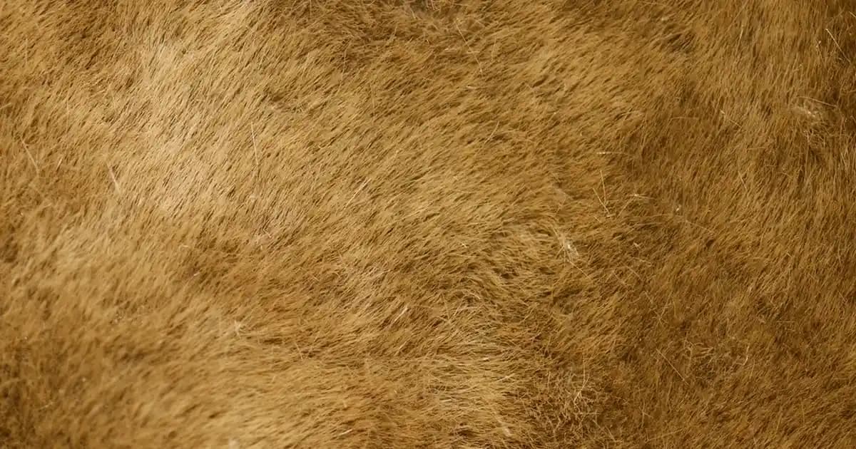 RAID Teknolojisi ve Seviyeleri: Veri Güvenliği ve Performans Artırıcı Çözümler