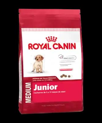 Royal Canin Junior Medium: Orta Boy Köpekler İçin Gelişimi Destekleyen Mama Seçeneği