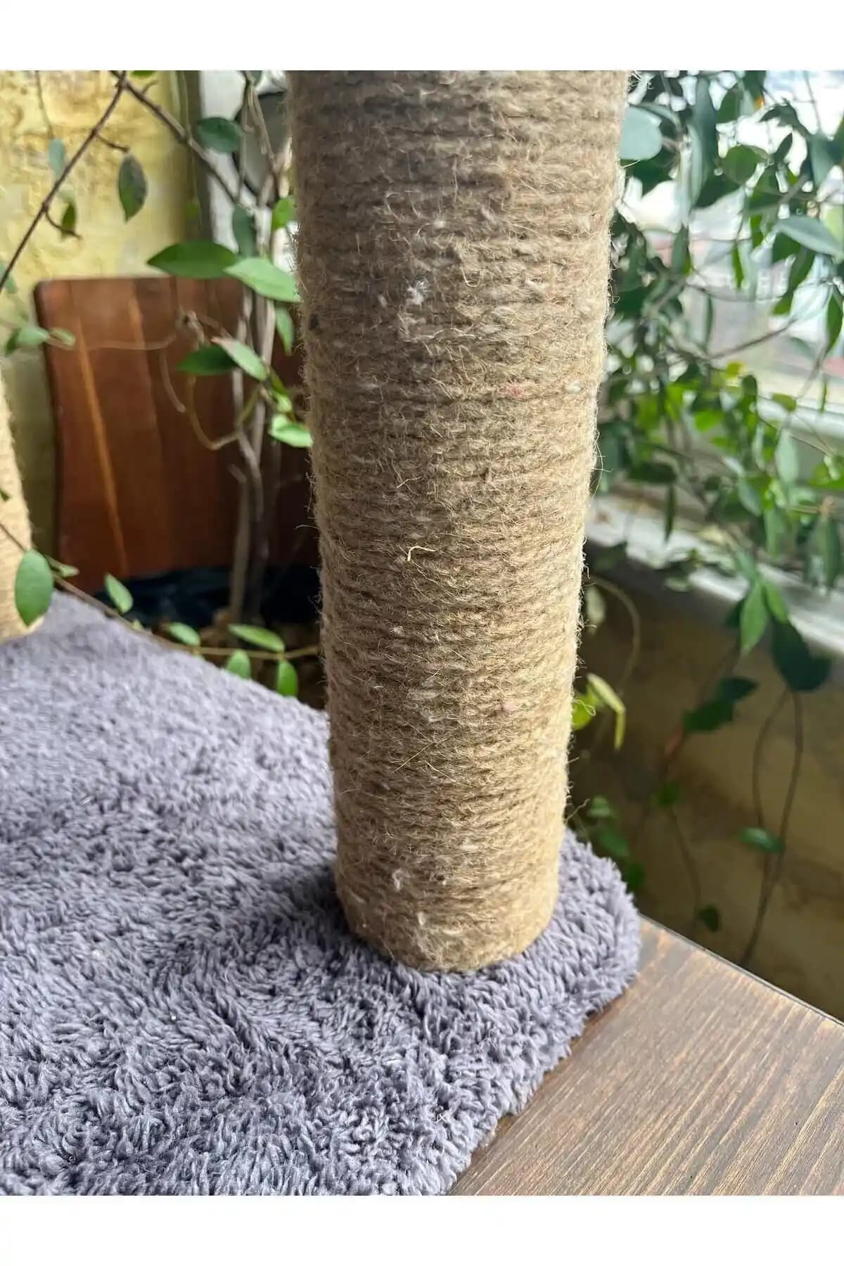 Şehirde Kedi Bakımı ve Güvenliği İçin En İyi Ürünler ve Tavsiyeler