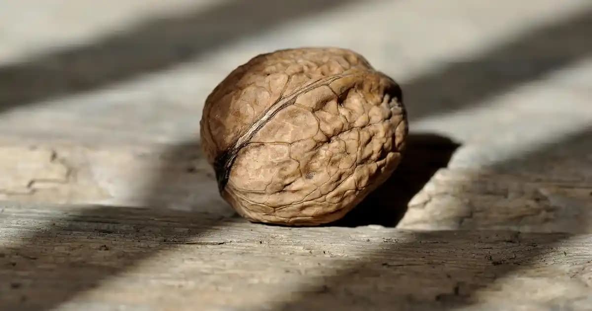 Senseo Kahve Kapsülleri: Pratiklik ve Kalitenin Birlikte Sunulduğu Kahve Çözümü