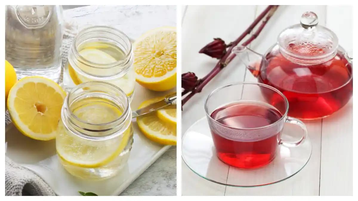 Sindirim Sistemini Destekleyen Doğal İçecekler ve Günlük Kullanım Tavsiyeleri