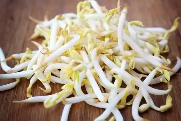 Soya Filizi Nedir ve Sağlık Faydalarıyla Modern Beslenmede Yeri
