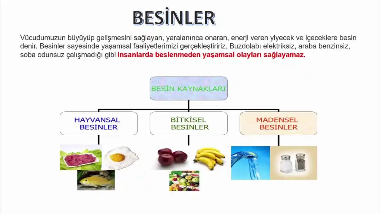 Su ve Mineral İçeren Besinler: Sağlıklı Yaşam İçin Temel Beslenme Kaynakları