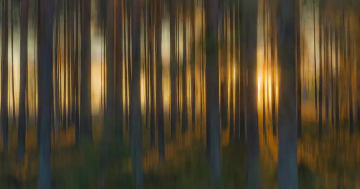 Supra Protein Collagen Beauty Formula: Cilt, Saç ve Tırnak Sağlığını Destekleyen Takviye Ürünü