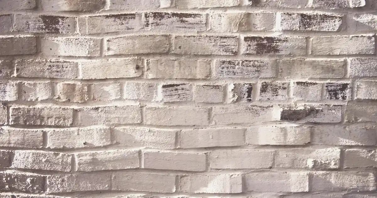 Susuz Yağ Nedir ve Mutfakta Kullanım Avantajları Hakkında Detaylı Bilgi