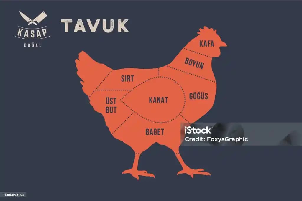 Tavuk Kesim Çeşitleri ve Kullanım Alanları Hakkında Detaylı Bilgi