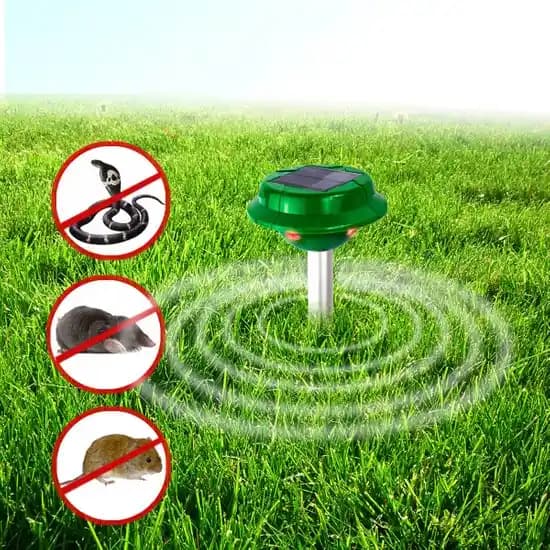 Tokyo'da Yılan Kovucu Ürünler: Güvenli Kullanım ve Etkili Uygulama İpuçları