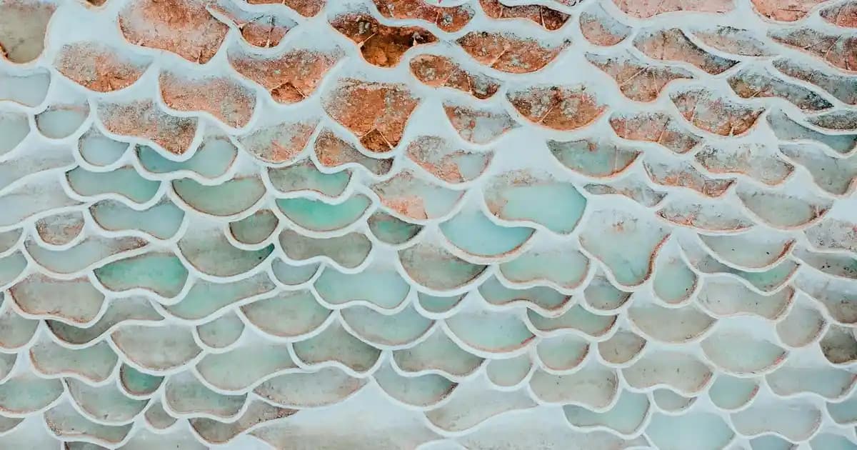 Toz Kireç Çözücülerin Günlük Hayattaki Rolü ve Doğru Kullanım İpuçları