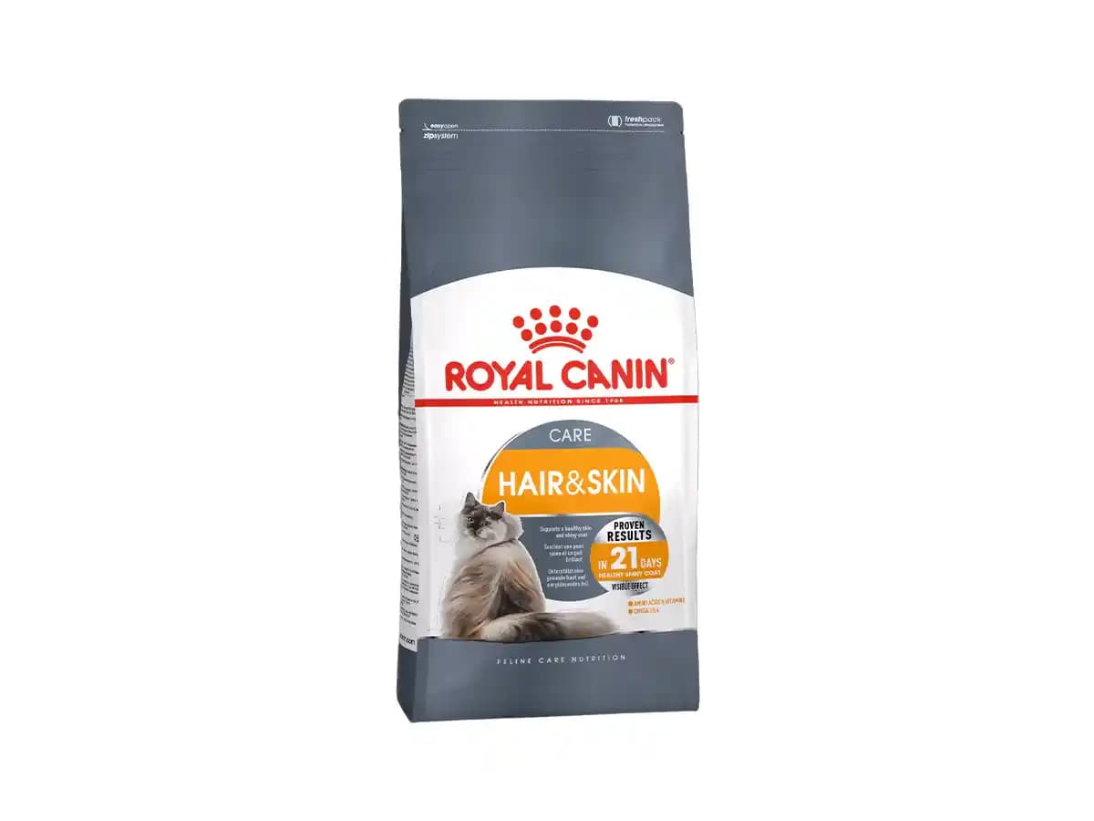 Tüy Dökülmesini Önleyen Kedi Mamaları ve Sağlıklı Tüyler İçin Bilmeniz Gerekenler