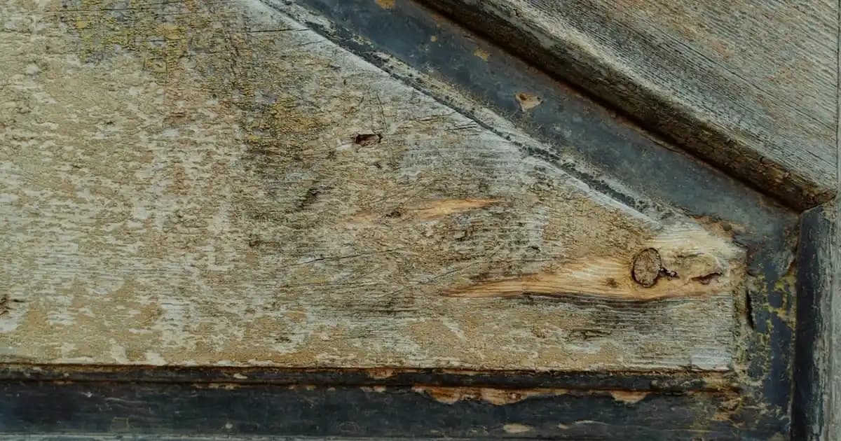 Tüy Toplayıcı Bantlar ile Ev Temizliğinde Pratik ve Ekonomik Çözüm Neden Tercih Edilmeli