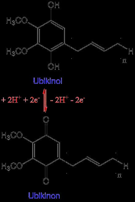 Ubiquinon ve Ubiquinol Arasındaki Farklar: Enerji ve Antioksidan Güçleri Hakkında Bilmeniz Gerekenler