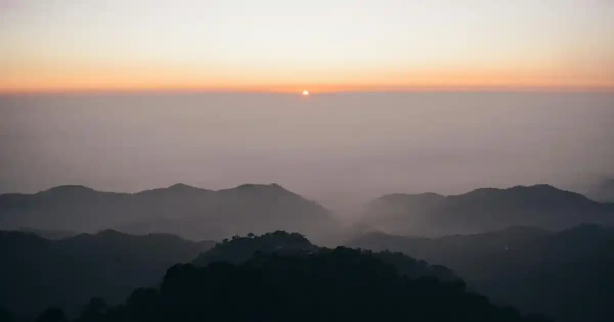 Zeytin ve Zeytinyağlarının Mutfak ve Sağlık Üzerindeki Önemi