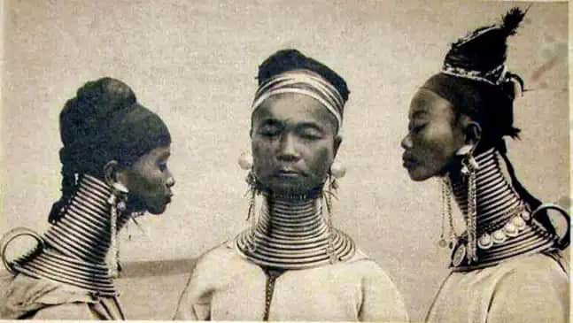 Boyunlu Kelimesinin Anlamı ve Günümüzdeki Kullanım Alanları