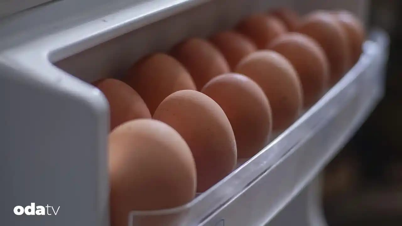 Artan Yumurtaların Saklanması, Tazelik Testleri ve Kullanım Yöntemleri