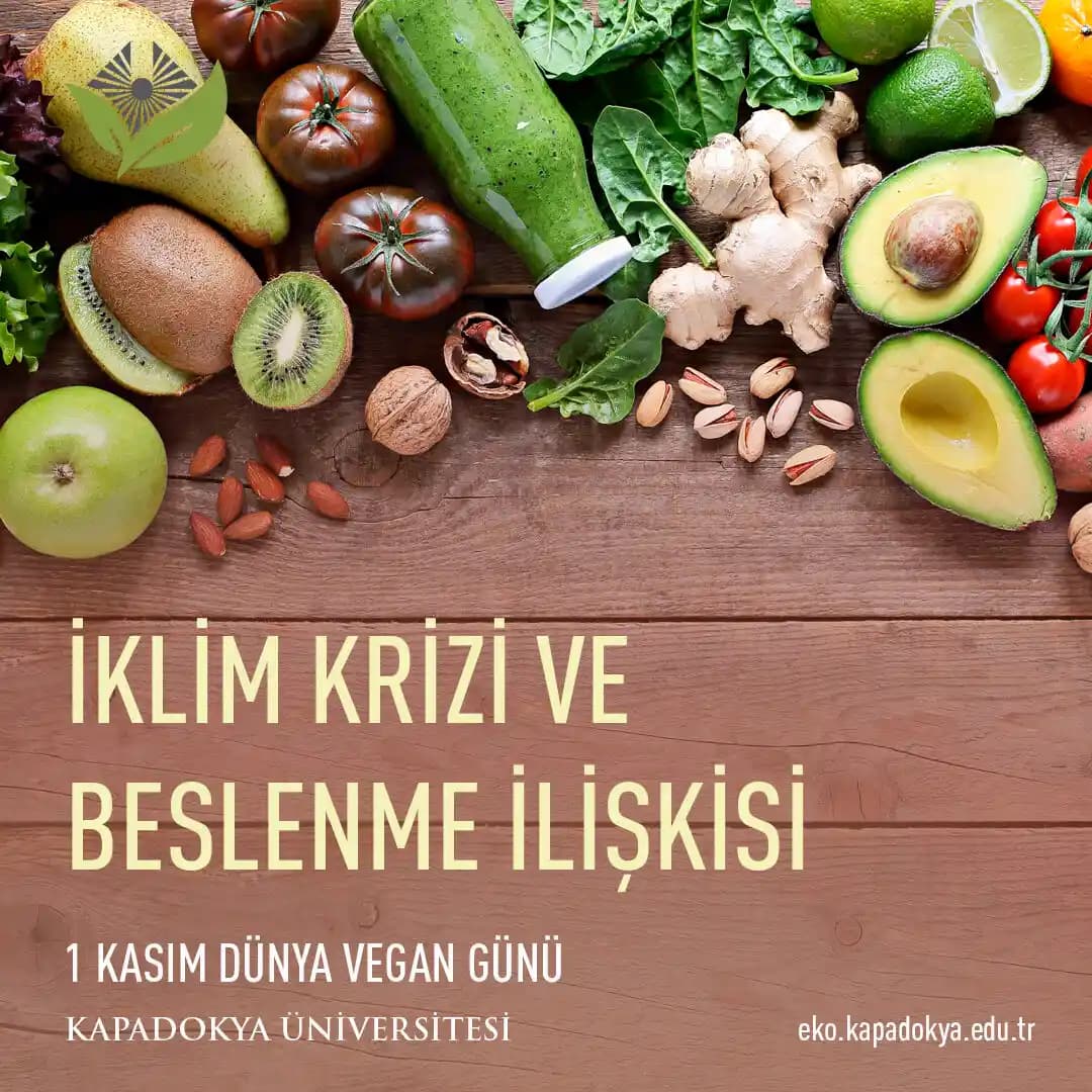 Gıda Değişimlerinde Sağlıklı ve Ekonomik Alternatifler: Baklagillerden Bitkisel Proteinlere
