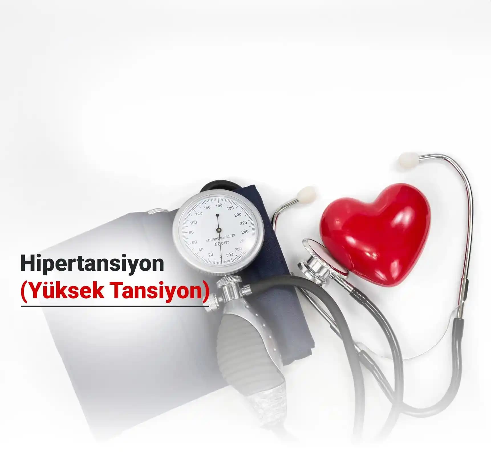 Kalp Hastaları İçin Kültürel Uyumlu Sağlıklı Yemek Tarifleri ve Beslenme Önerileri