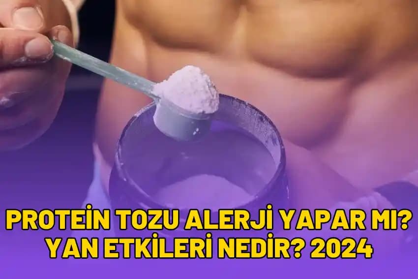 Whey Bazlı Protein Tozlarına Alternatif Yüksek Protein Kaynakları ve Seçim Kriterleri
