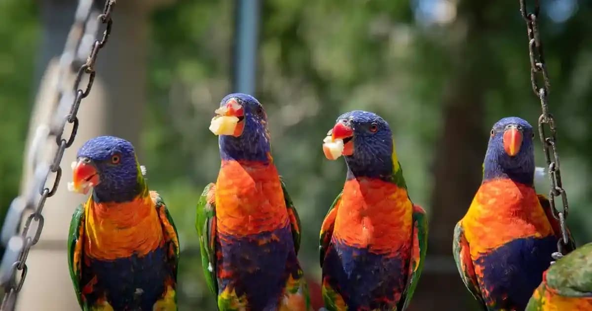 4 Yaşındaki Çocuklar İçin Çeyrek Jambon Saklama ve Pişirme Yöntemleri Rehberi