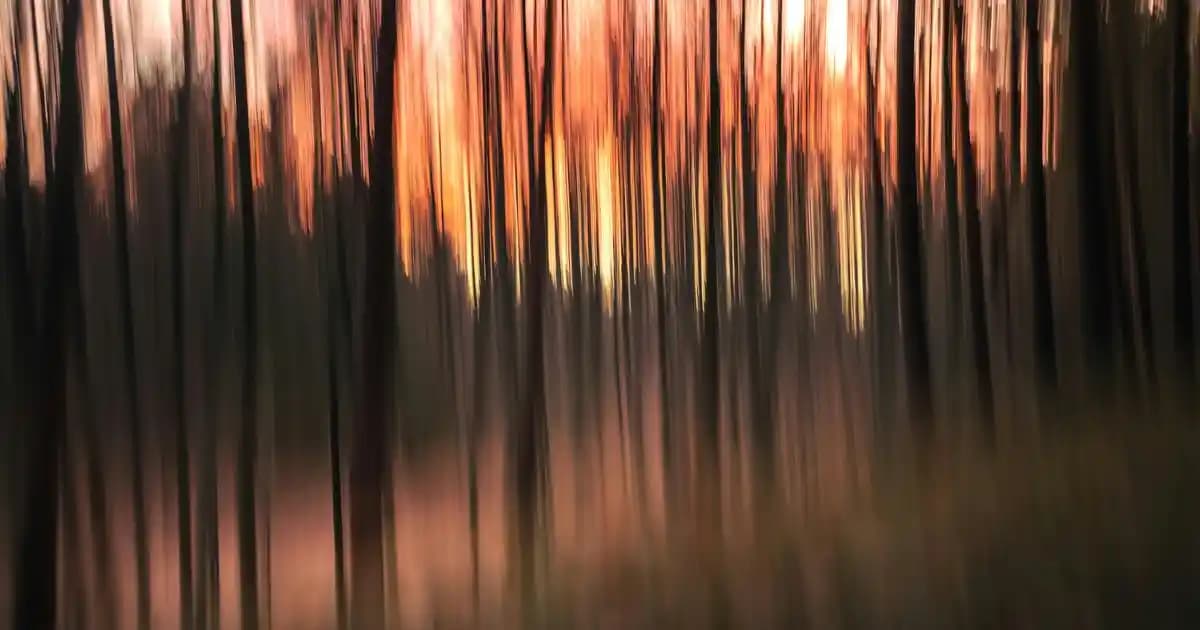 Çocuklu Ailelerin Market Harcamaları: Aile Büyüklüğü ve Alışveriş Alışkanlıklarının Etkisi